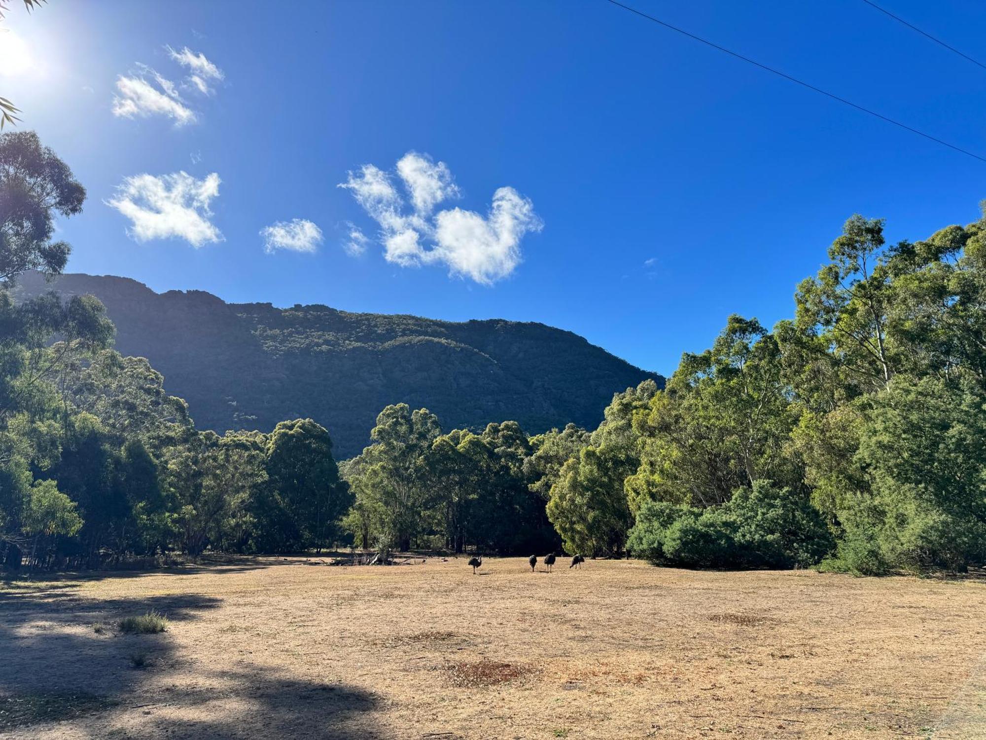 Halls Gap Log Cabins Kültér fotó