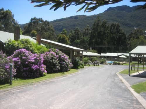 Halls Gap Log Cabins Kültér fotó